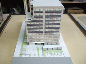 �X�^�f�B�͌^�T